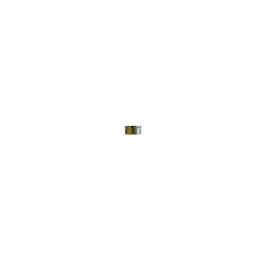 Piston de Rechange Titane Diamètre 34mm Pour étrier de Frein Accossato